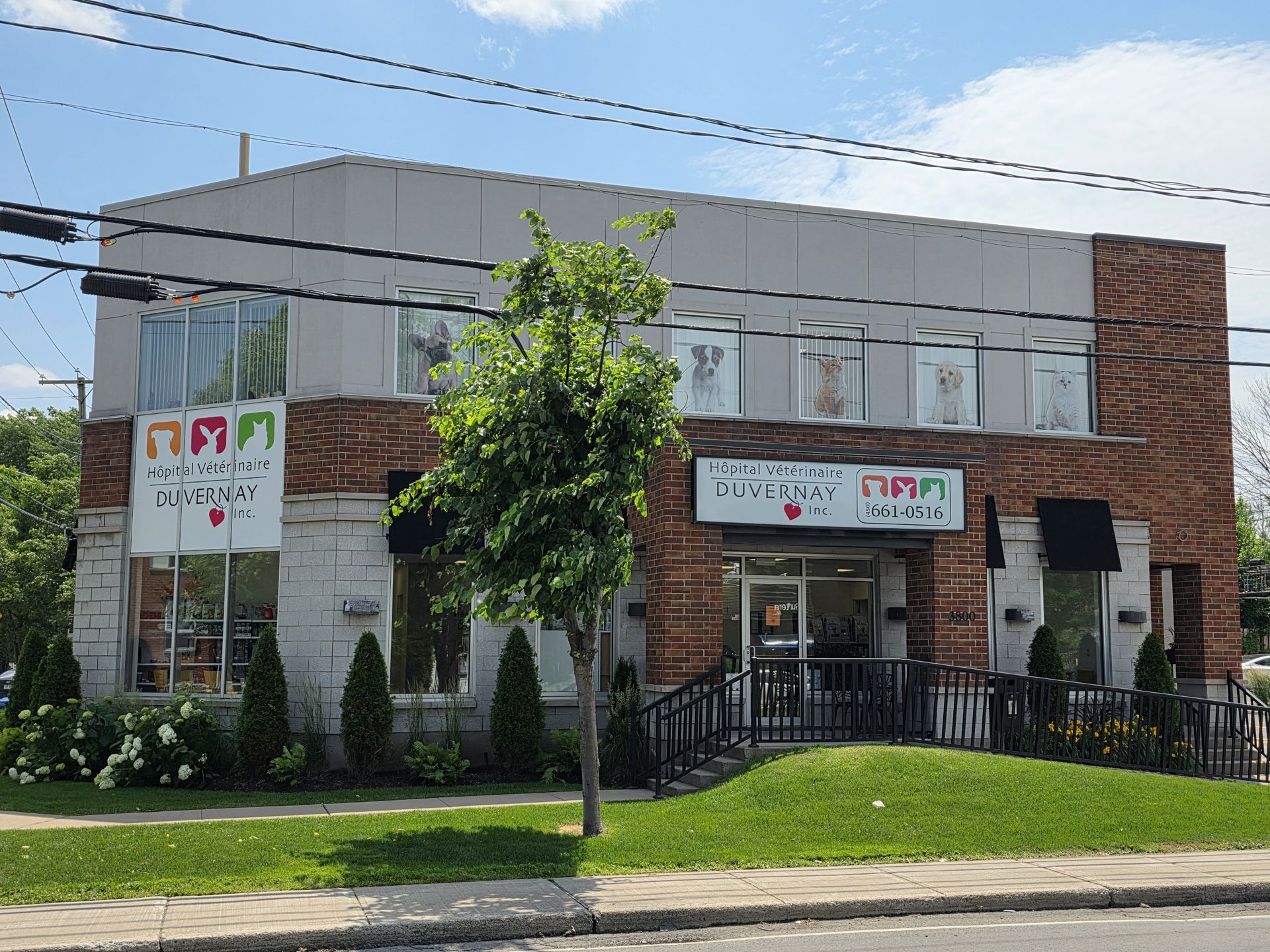 Notre bâtiment — Hôpital Vétérinaire Duvernay