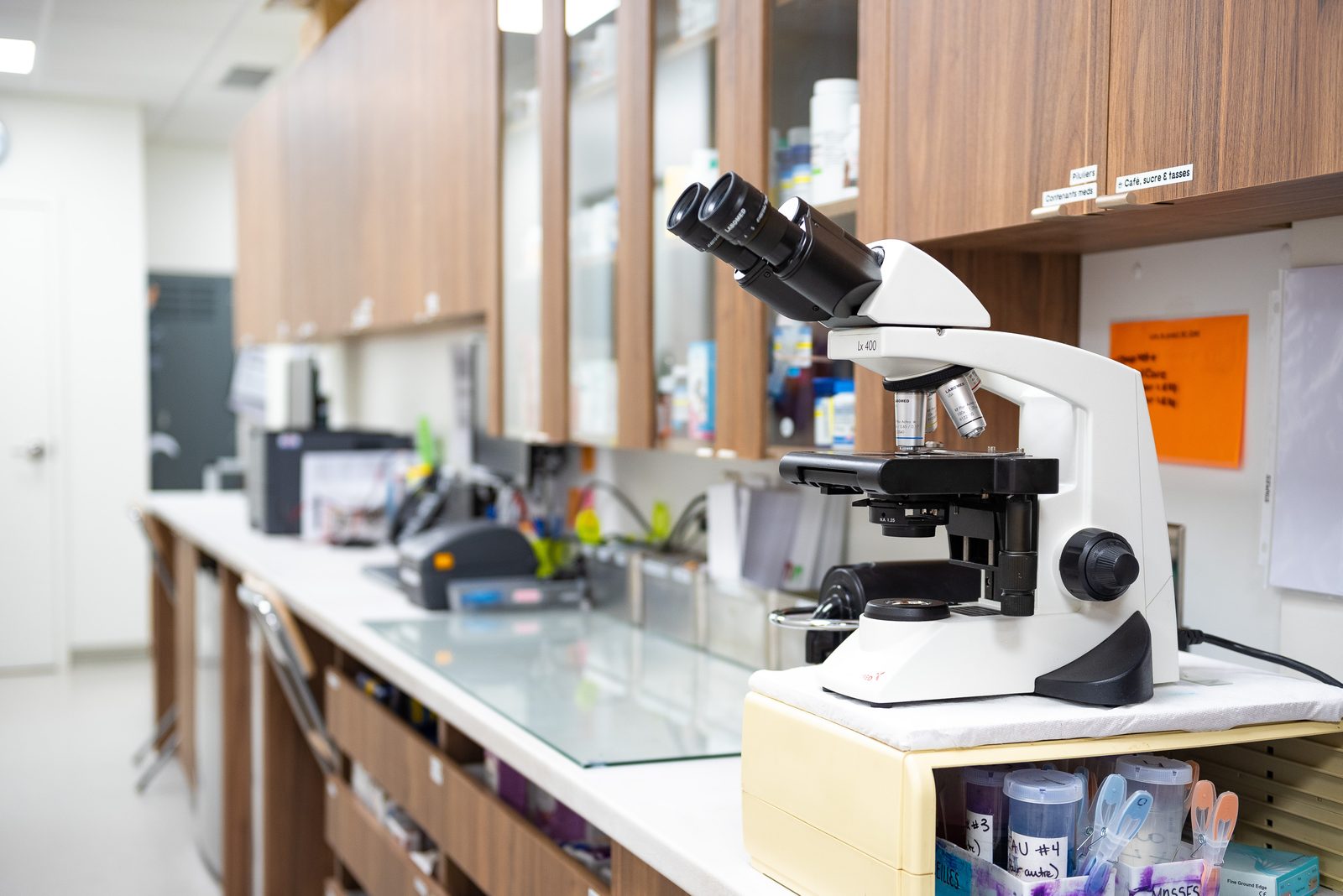 Laboratoire — Hôpital Vétérinaire Duvernay