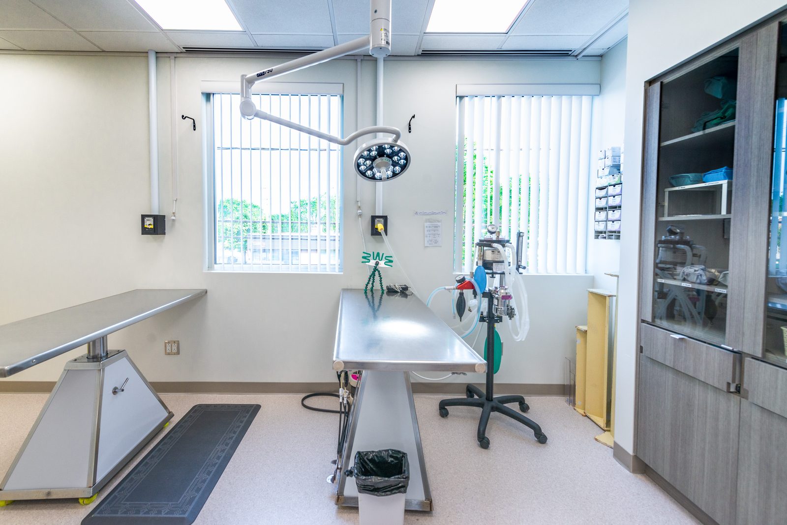 Salle de chirurgie — Hôpital Vétérinaire Duvernay