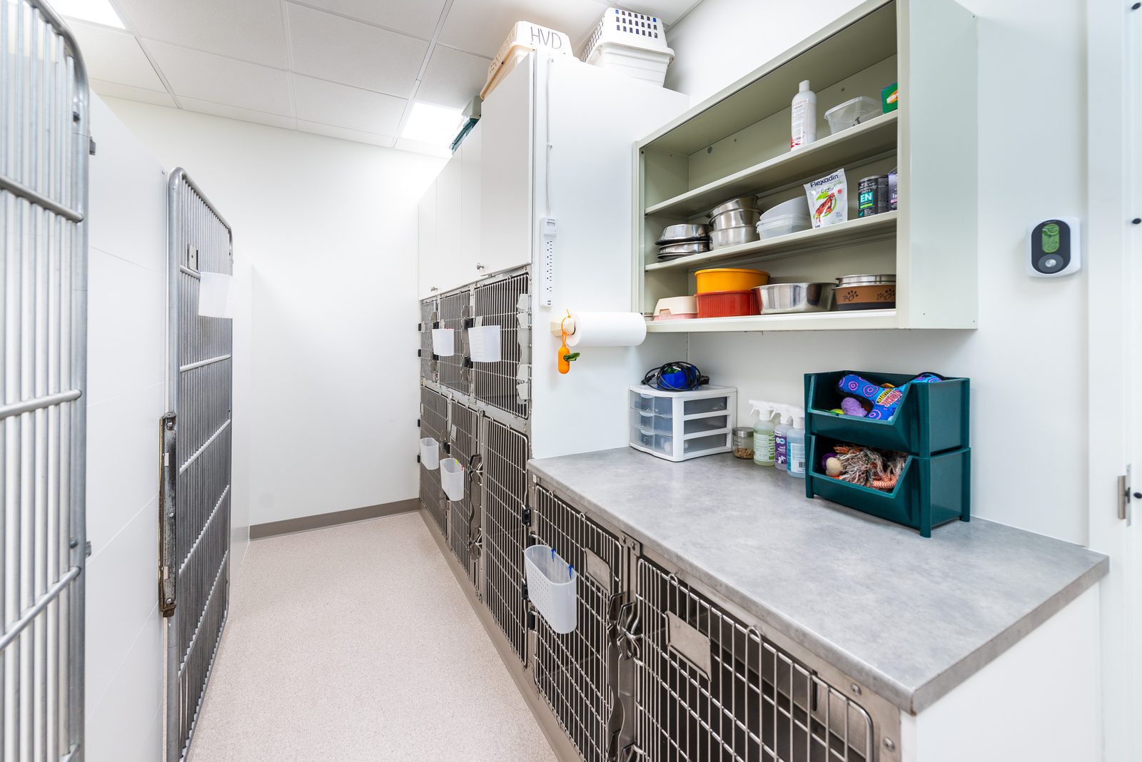 Chenil — Hôpital Vétérinaire Duvernay