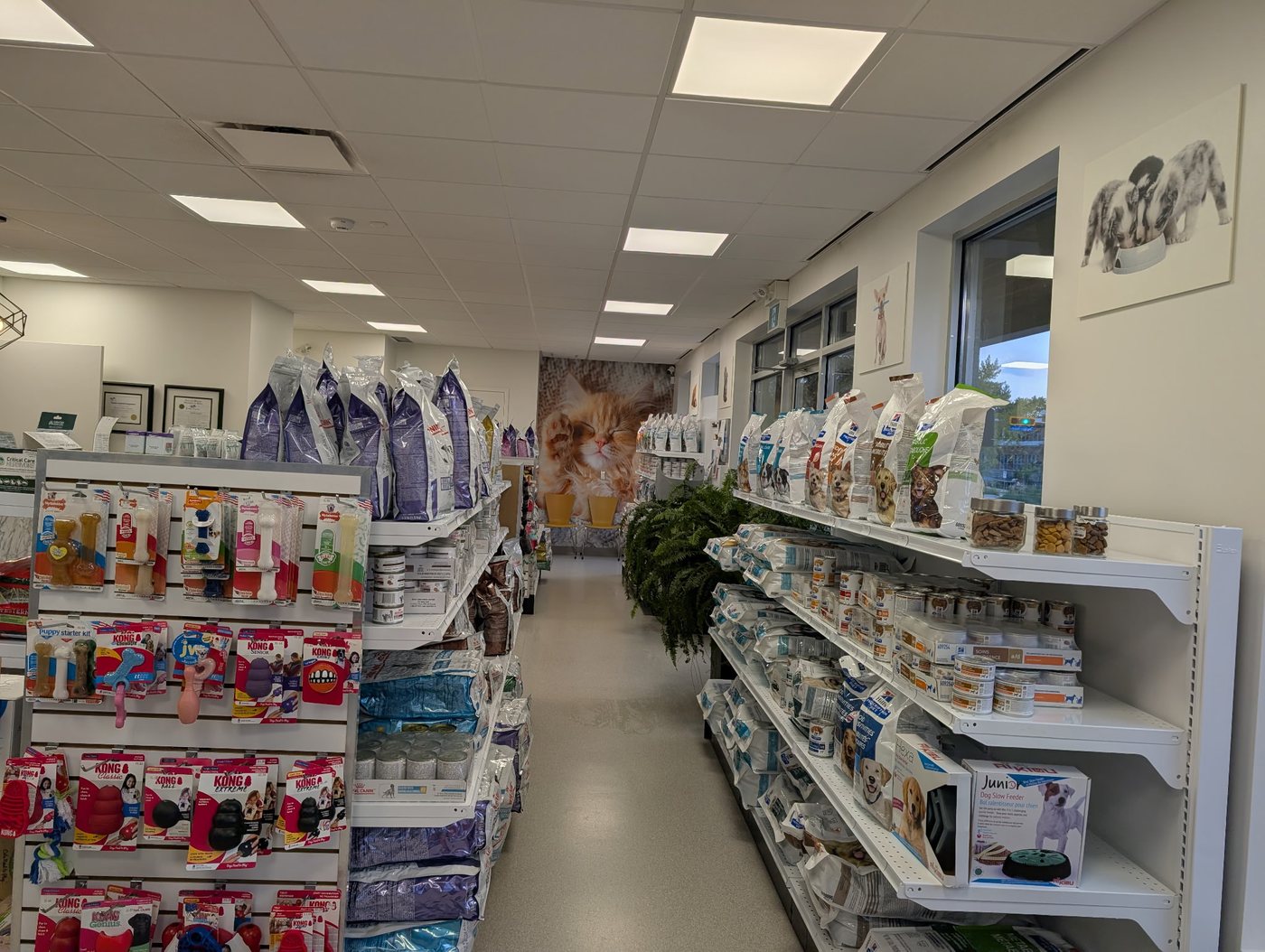 Boutique — Hôpital Vétérinaire Duvernay