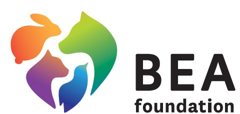 BEA Foundation