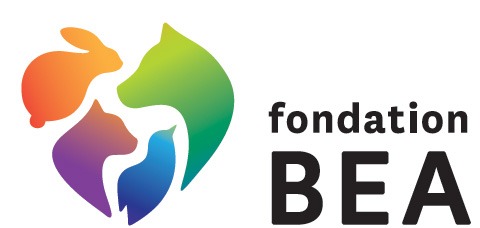 Fondation BEA